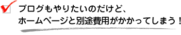 ブログもやりたいのだけど、ホームページと別途費用がかかってしまう！