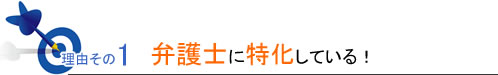 理由その1弁護士に特化している！